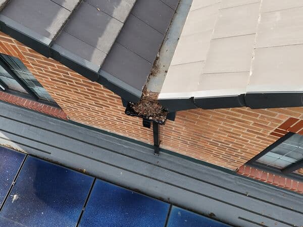 Aerial gutter detail showing debris build-up at a roof corner.