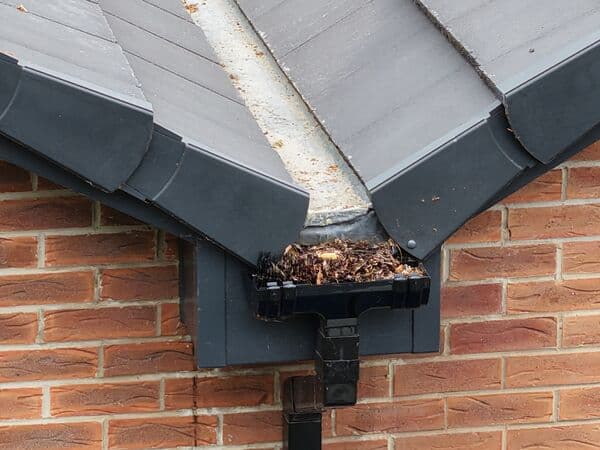 Aerial gutter detail showing leaves and debris collected along a roof line.